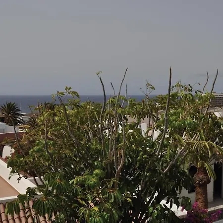 Cisnes Encantadora Casa Con Jardin Y Estudio Vista Al Mar 別荘 *